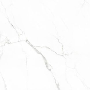 Vloertegel en wandtegel - Statuario glans - 60x60 cm - gerectificeerd - 9 mm dik
