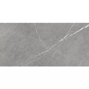 Wandtegel - Tilorex Egunio Graphite Zacht glanzend - 30x60 cm - Gerectificeerd - Keramisch - 9 mm dik - VTX61296